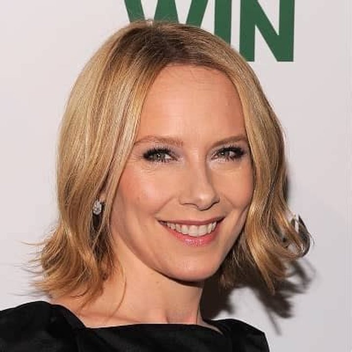 Amy Ryan - Age, Net Worth, Height, Bio, Career, Married, Facts