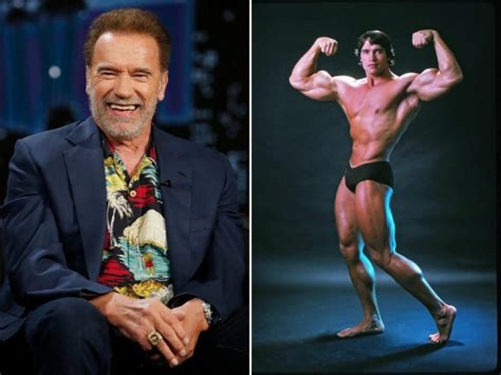 Arnold Schwarzenegger - Bio, Age, Net Worth, Height, In Relation, Nationality, Body Measurement, Career