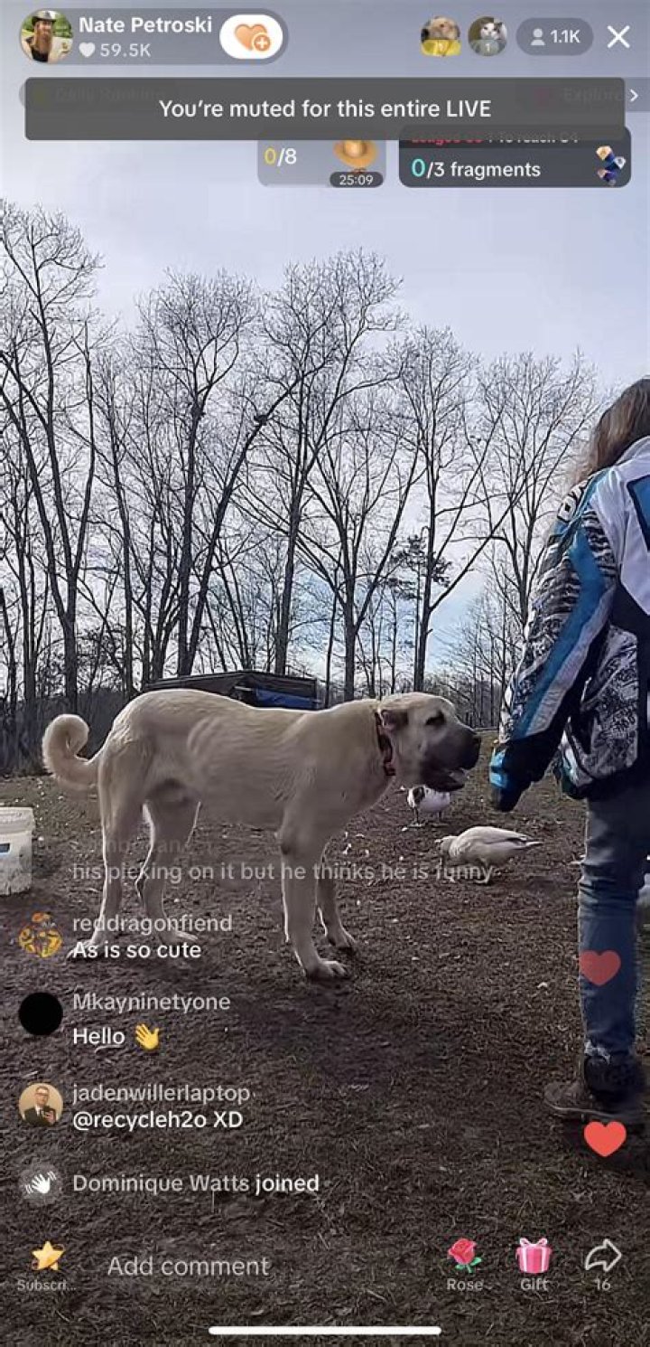 Nate Petroski - Bio, Age, Height, Net Worth, Facts, Nationality