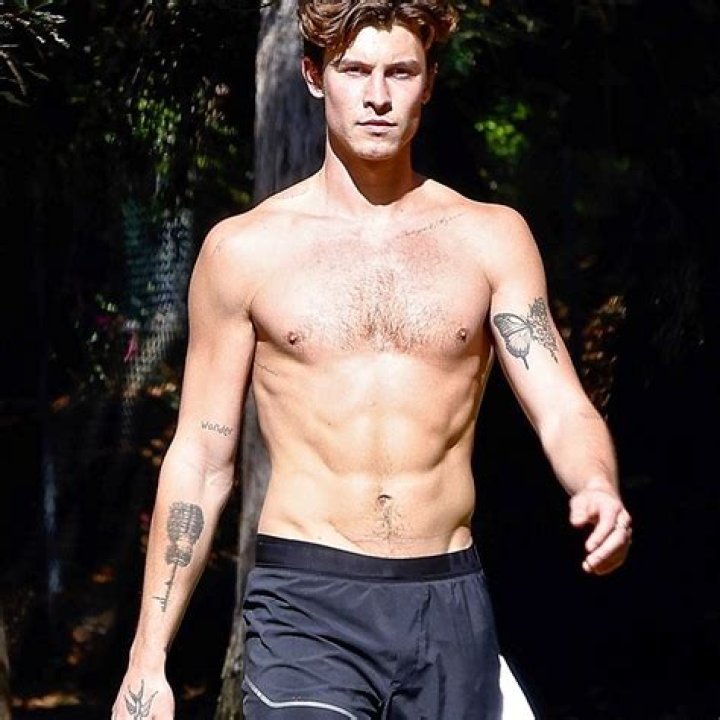 Shawn Mendes - Bio, Age, Height, Single, Nationality, Body Measurement